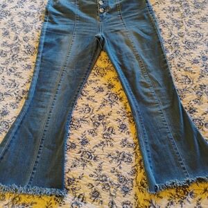 Fashion Nova Blue Flare Wide Leg Jeans